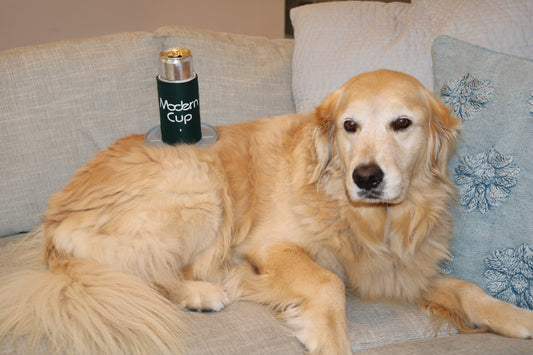 A golden retriever lying on a gray couch with light gray and blue pillows. 